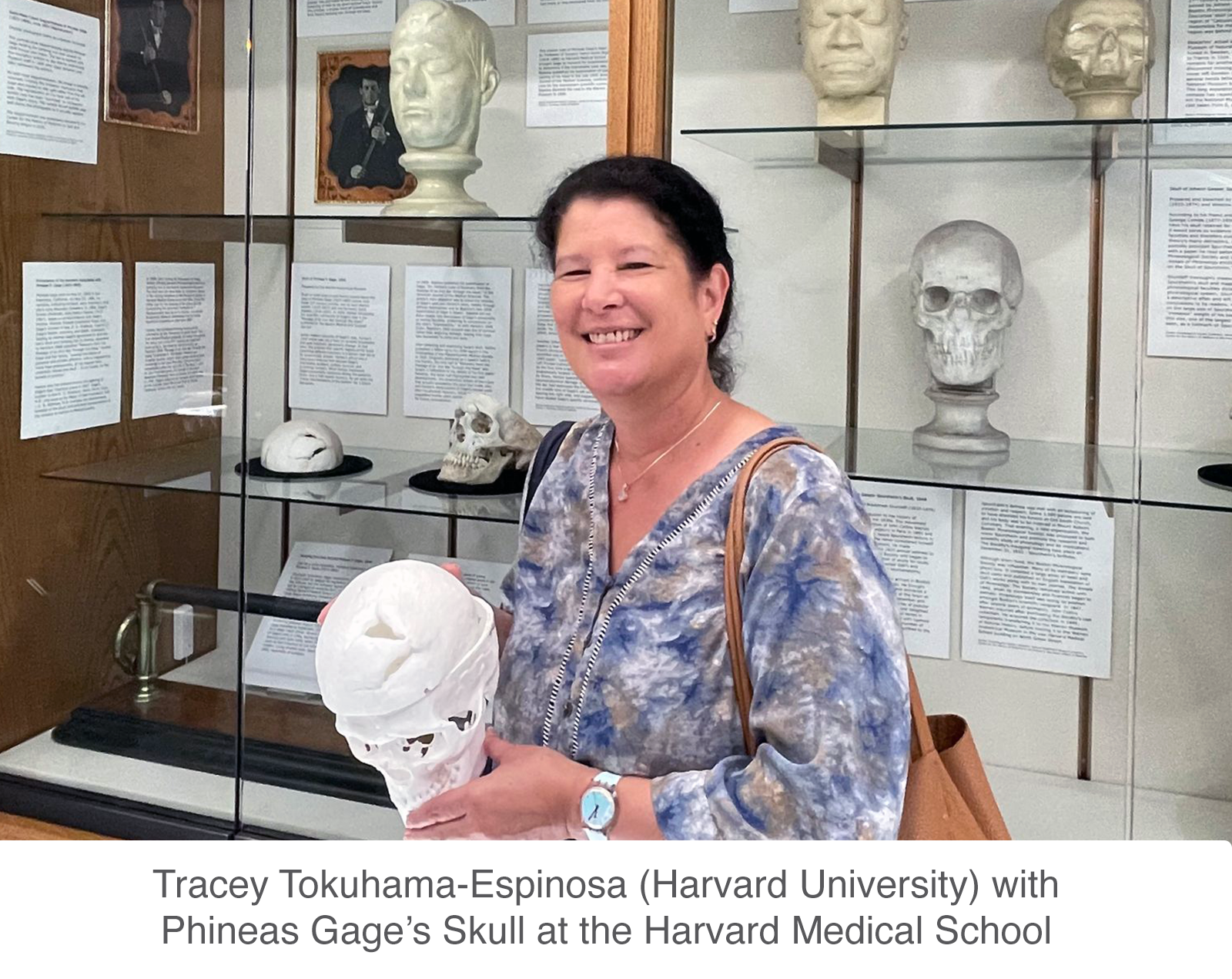 Tracey Tokuhama-Espinosa (Harvard University and Conexiones) with the Phineas Gage's Skull at the Harvard Medical School